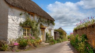 white thatched cottage on country lane