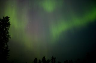 Aurora over Northern Manitoba, Canada