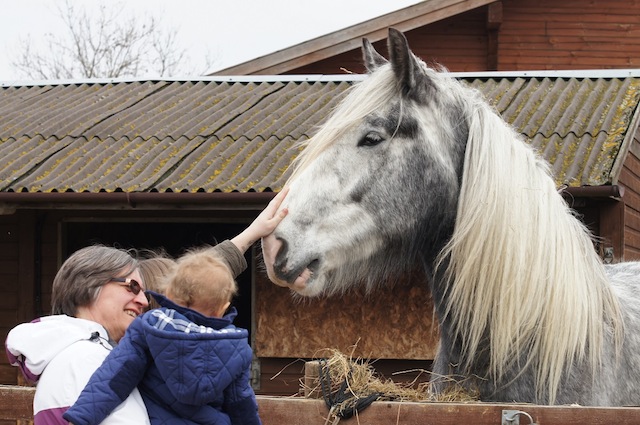 Major-and-stables.jpg