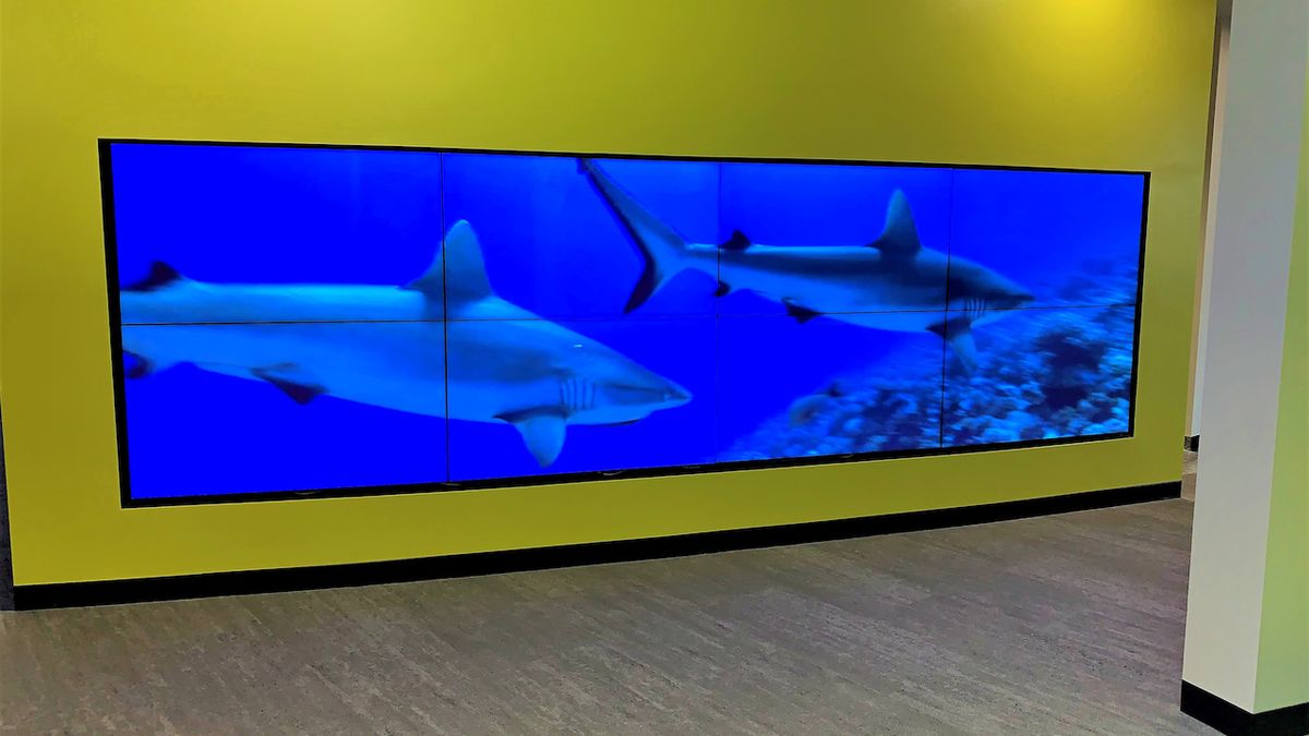 When building out new facilities, Sherlock School in Cicero, IL called upon integrator Snap Install to incorporate LG Commercial OLED displays throughout the building to create flexible learning environments for the students.