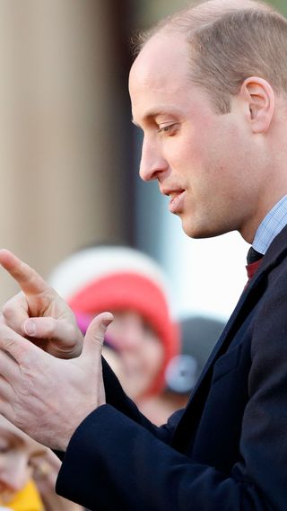 Prince William using sign language