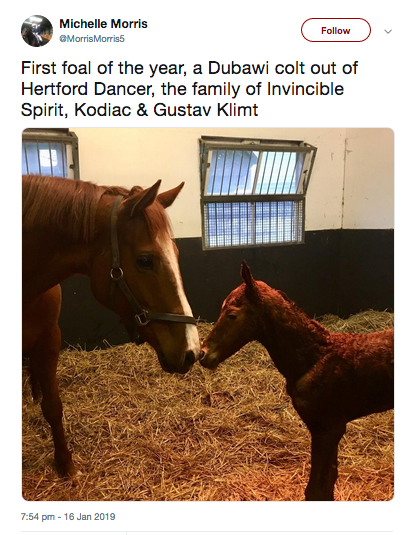 Dubawi.png