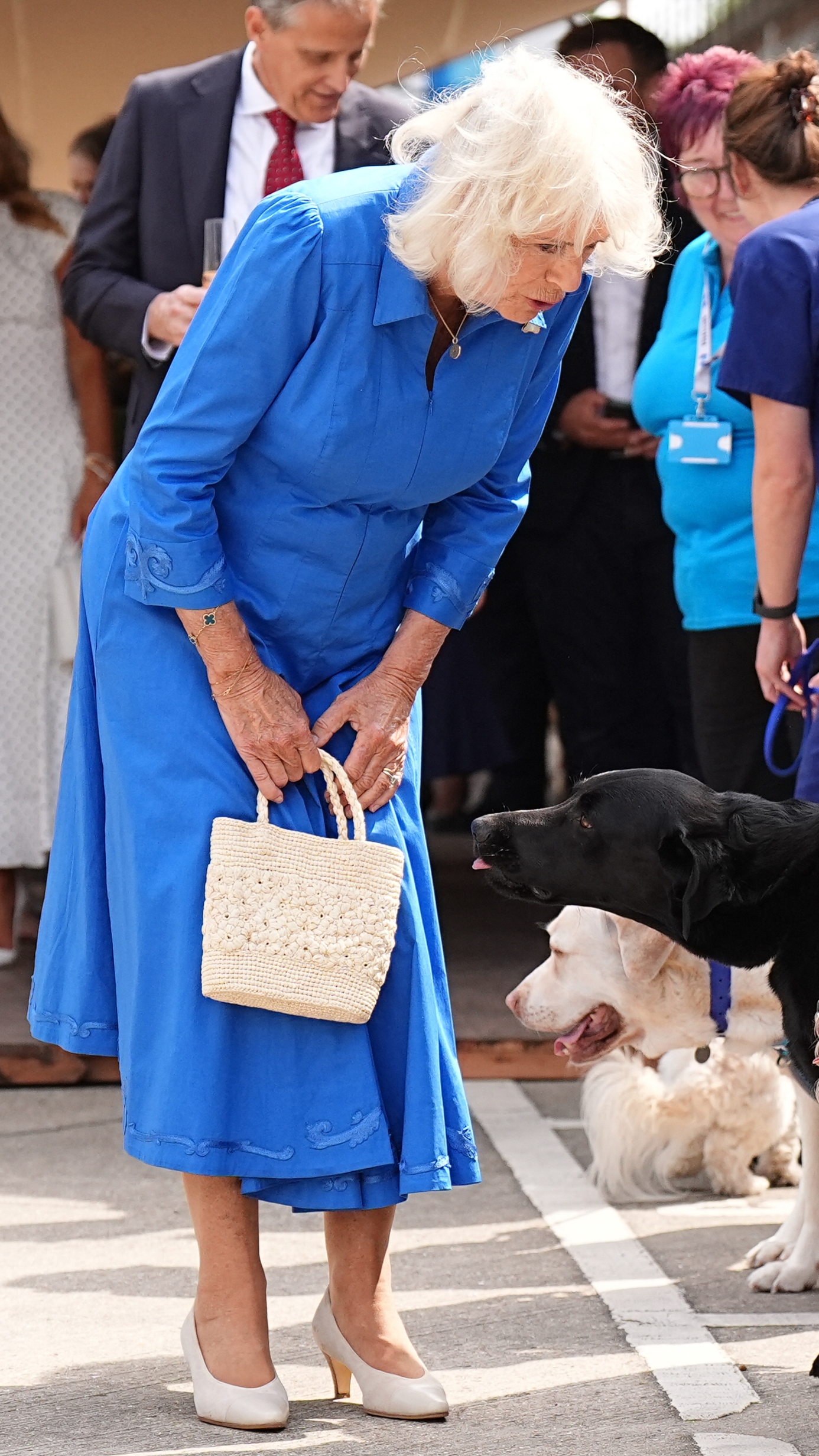 Queen Camilla meets dogs during a visit to unveil the Royal Horticultural Society (RHS) and BBC Radio 2 'Dog Garden' at the Battersea Dogs and Cats Home in south London on July 14, 2025