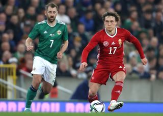 Northern Ireland v Hungary – International Friendly – Windsor Park
