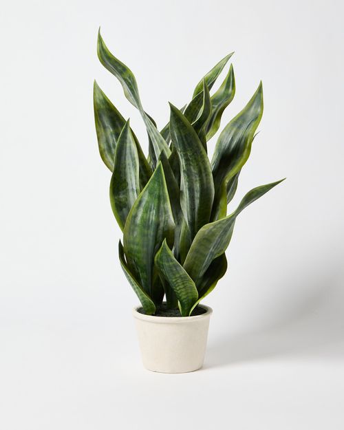 Tiger Tail Tall Artificial Plant
