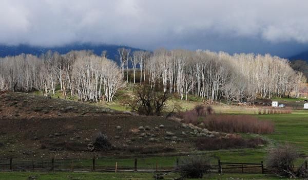 The lighting seemed to change all day long.