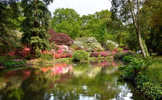 Exbury Gardens, Hampshire. Credit: Alamy