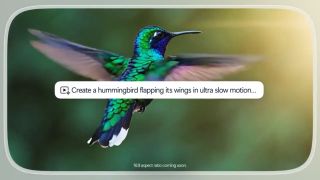 Generating a video of a hummingbird in Bing with Sora AI