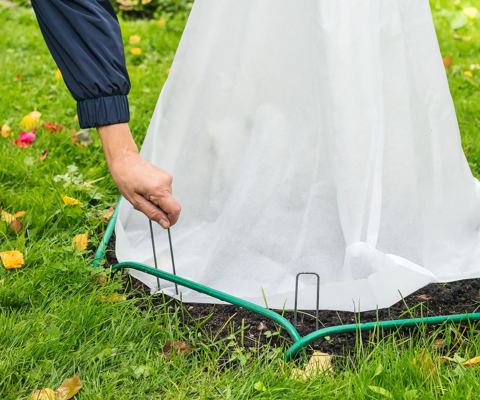 Winterization Method Using Cloth What is a frost cloth for plants and how do you use it? | Homes and Gardens