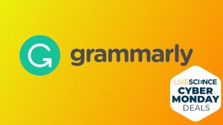 Grammarly Cyber Monday