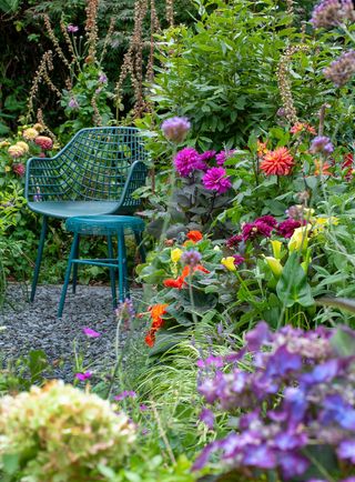 colourful flowerbed packed with jewel coloured flowers
