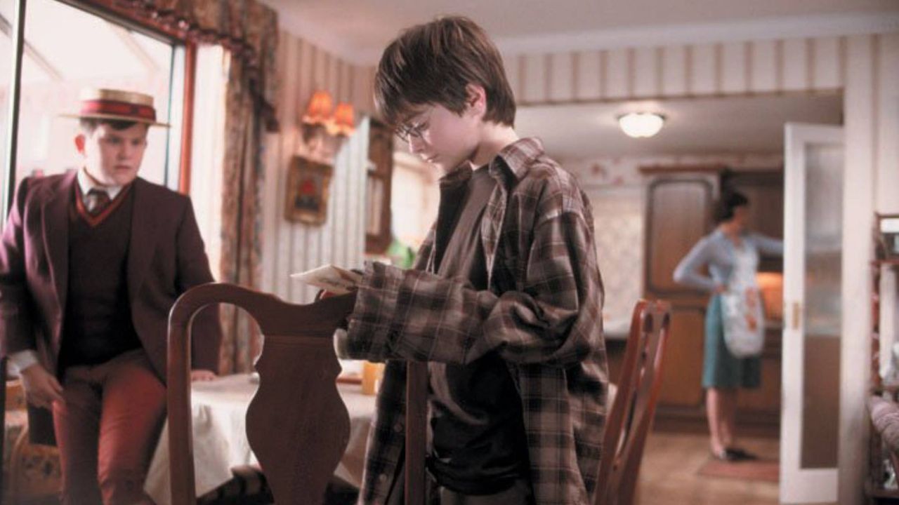 harry potter dudley dursley