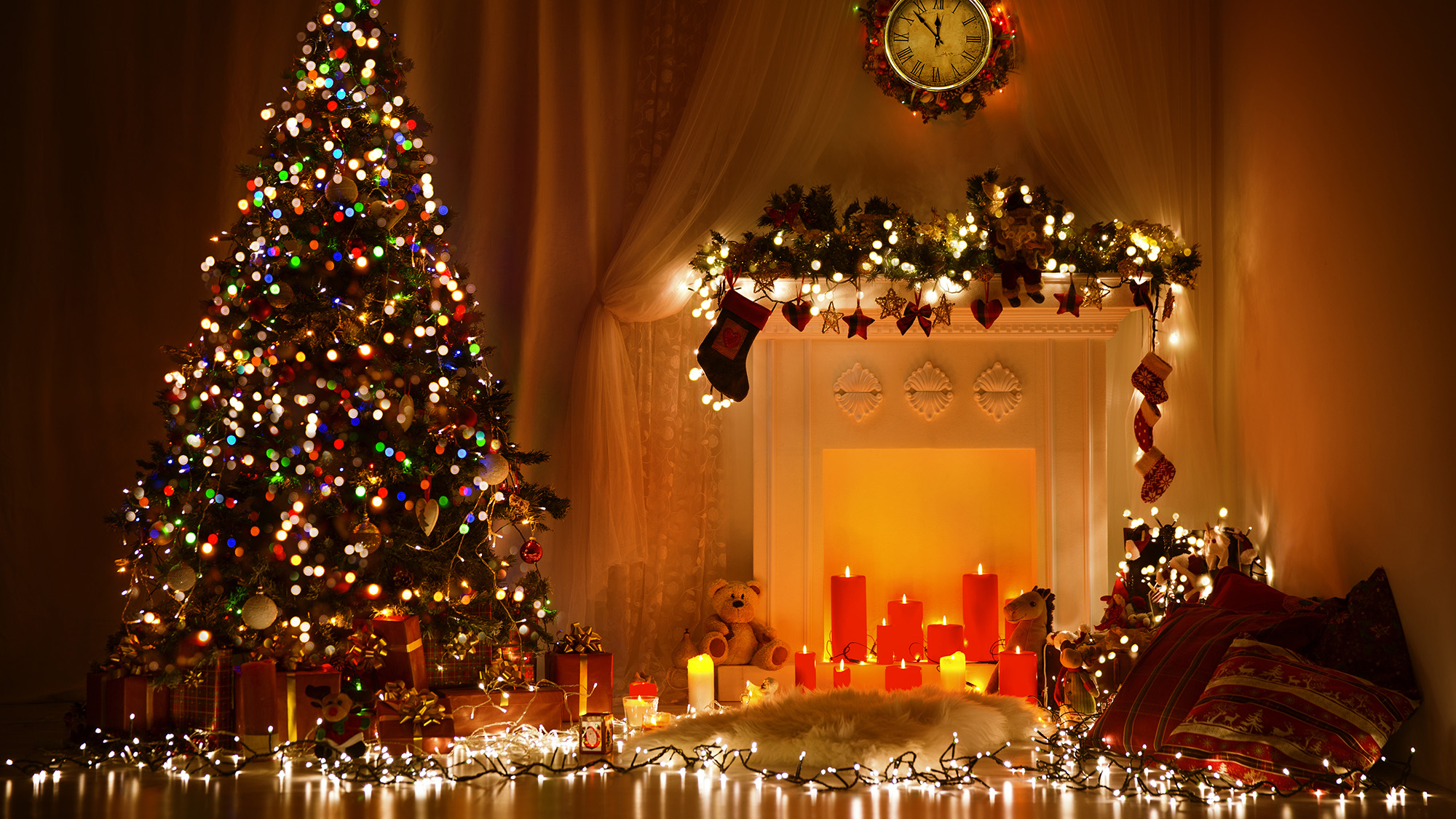 Christmas tree and lights