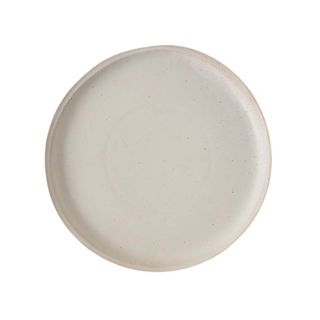 White speckled dinner plate