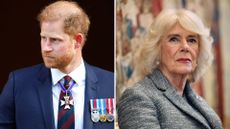 A comp image of Prince Harry (L) and Queen Camilla (R)