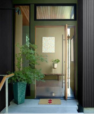 An open front door with view inside to green entryway and plant to the side