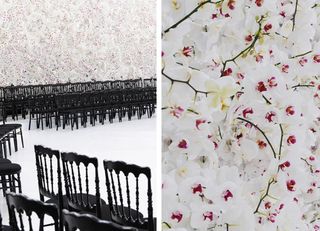 Two images. Left: Rows of black chairs, white floor, floral patterned wallpapered walls. Right: Close up of floral patterned wallpaper
