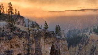 Photograph showing the Grand Canyon of the Yellowstone National Park, by wildlife photographer Charles Glatzer