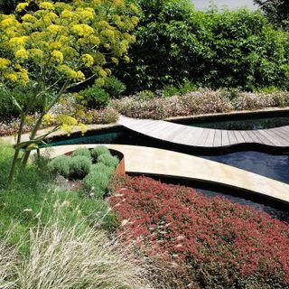 garden design trends with plants and shrubs in curved beds around a modern pond