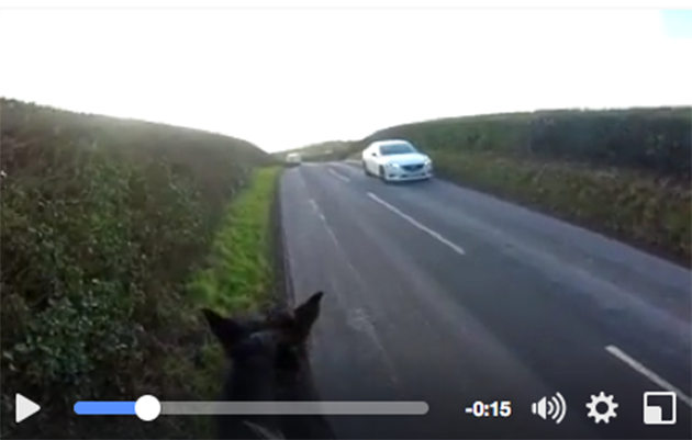 sophie-williams-video-1.png