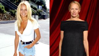 evolution - pamela anderson