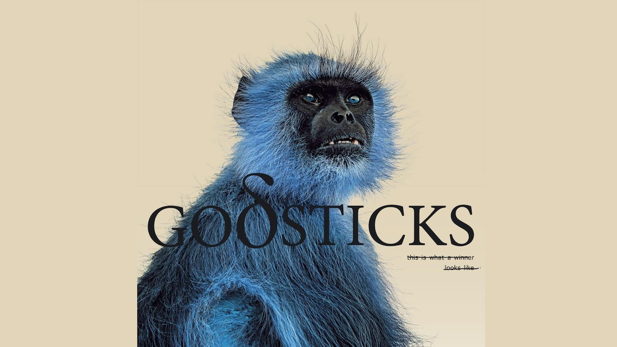 Godsticks This is what a winner looks like album