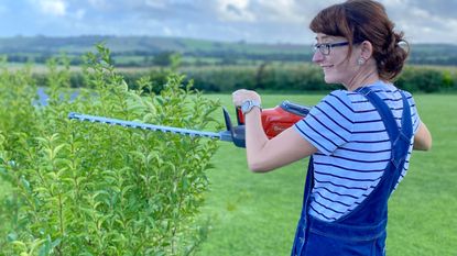 Lightweight cordless hedge trimmer deals for ladies