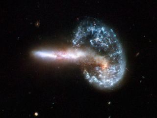 Arp 148 is the staggering aftermath of an encounter between two galaxies, resulting in a ring-shaped galaxy and a long-tailed companion.