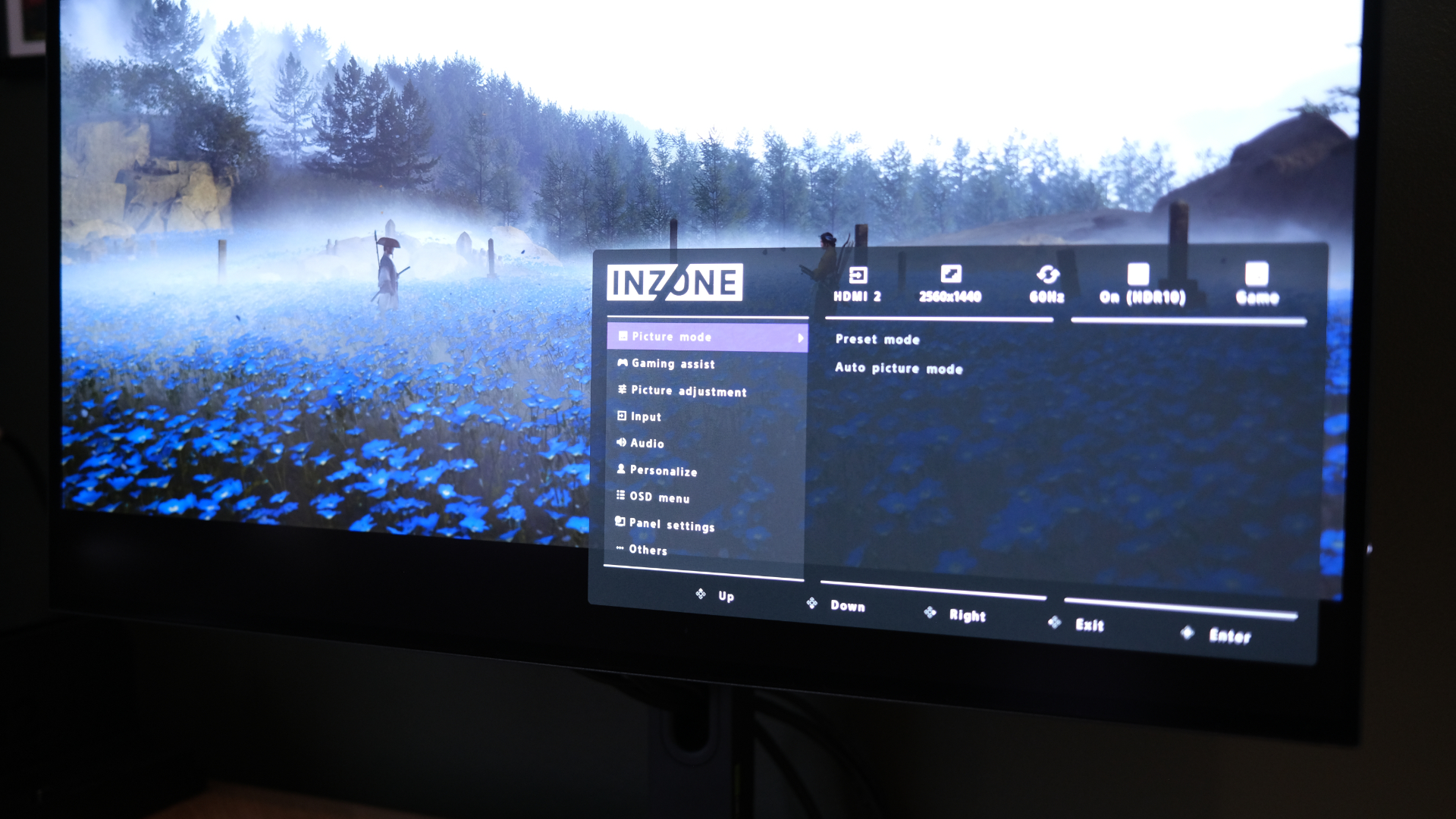 Sony Inzone M10S monitor review