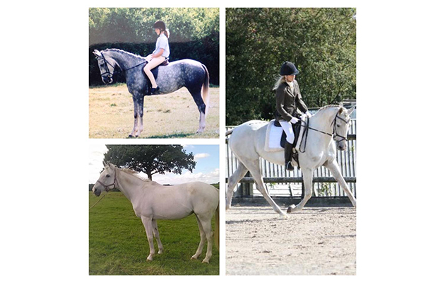 &lsquo;Top left is 17 years ago at our first show when my horse was five and I was 14. The right hand picture is in 2010 when she was 16, not long before her retirement and the bottom left is this year in her retirement at 22 years young.&rsquo; &mdash; Amanda Rushby