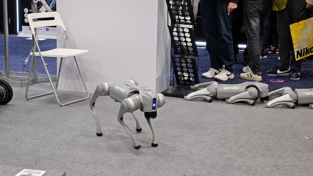 A photo of a quadruped robot