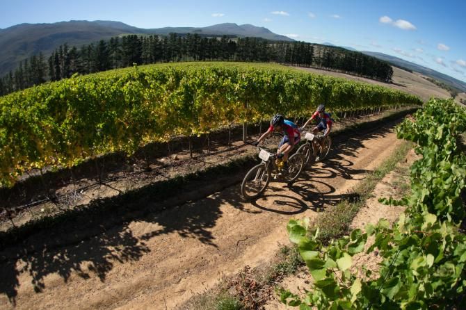 The riders had little time to taste the wine