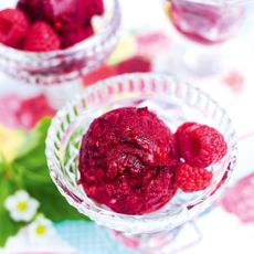 Instant Frozen Berry Sorbet