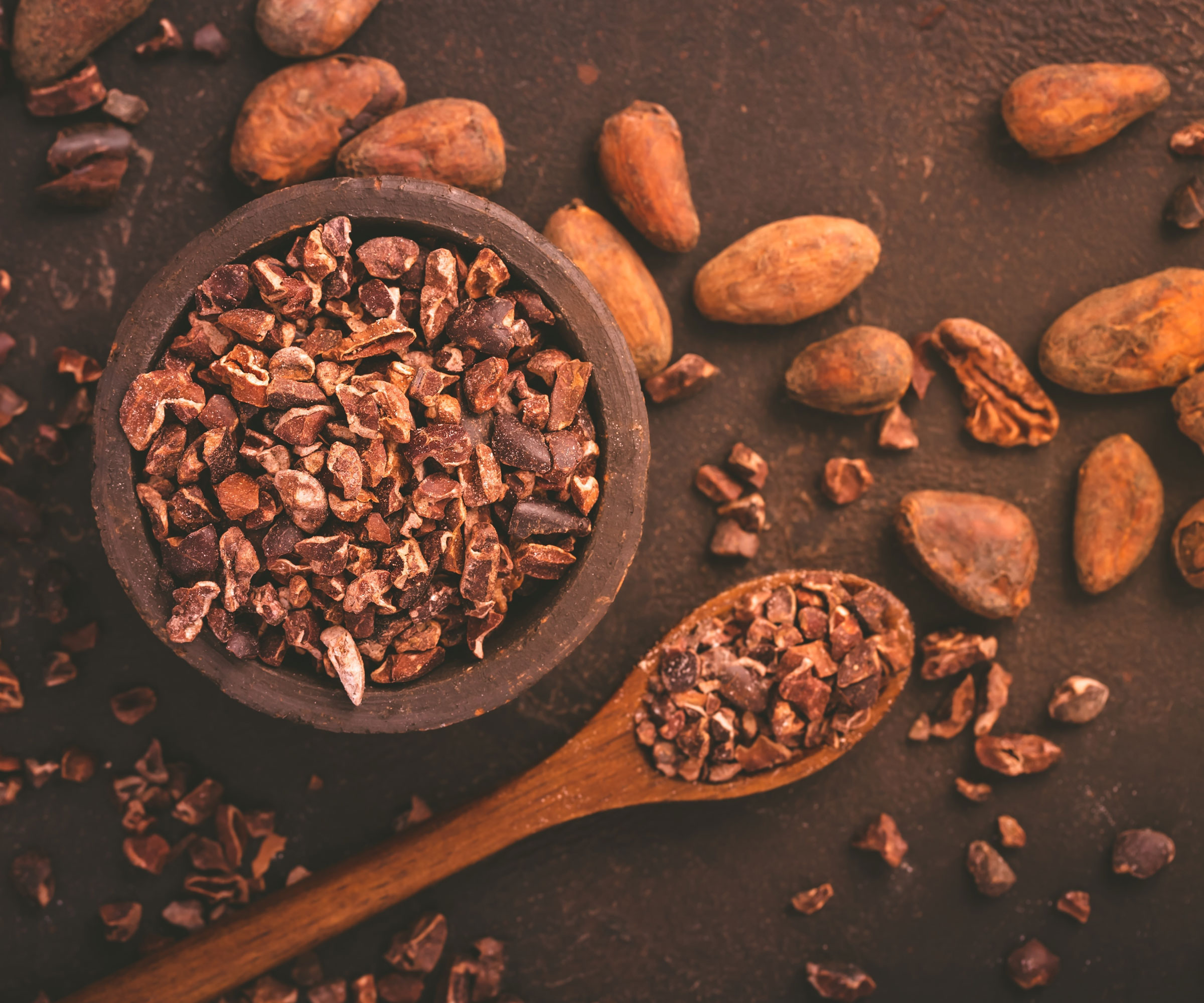 cocoa beans and crushed cocoa on spatula and in bowl