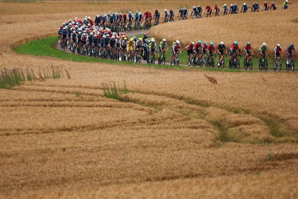 The pack of riders (peloton) cycles past fields during the 8th stage of the 111th edition of the Tour de France cycling race, 183,5 km between Semur-en-Auxois and Colombey-les-deux-Eglises, on July 6, 2024. (Photo by Anne-Christine POUJOULAT / AFP)
