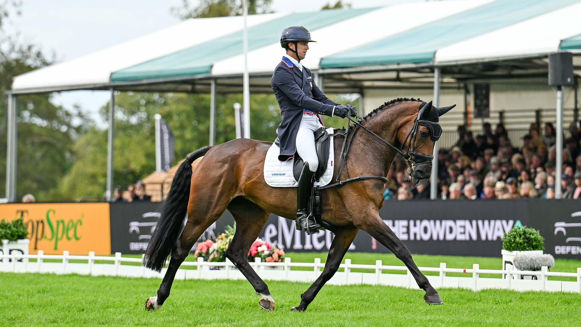 Will Coleman, a rider in a blue tailcoat, rides bay horse Very Dignified on the grass Burghley dressage arena