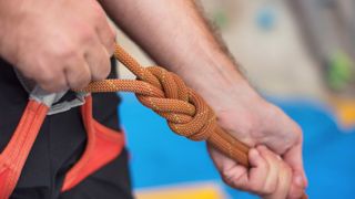 rock climbing knots: figure of eight in gym