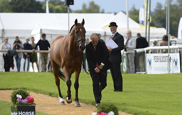 Michael Jung (GER) riding LA BIOSTHETIQUE - SAM FBW, during the 1st Vet check of The Land Rover Burghley Horse Trials near Stamford in Lincolnshire, UK, on 2nd September 2015