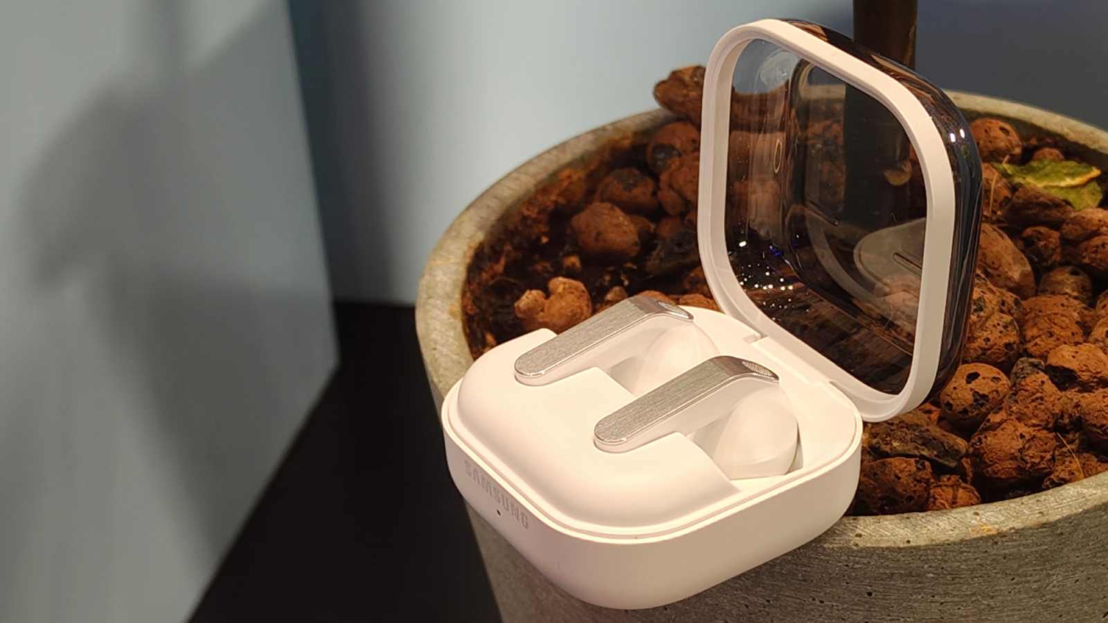 The Samsung Galaxy Buds 4 in their case, on a potted plant.