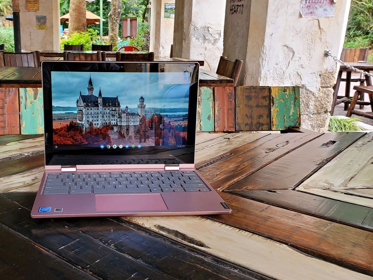 Lenovo C340 in the wilds of Animal Kingdom