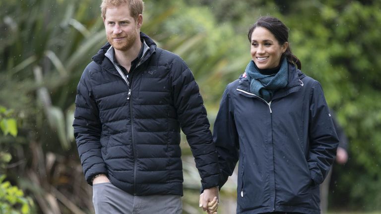 Prince Harry and Meghan Markle hold hands as they walk through a park.