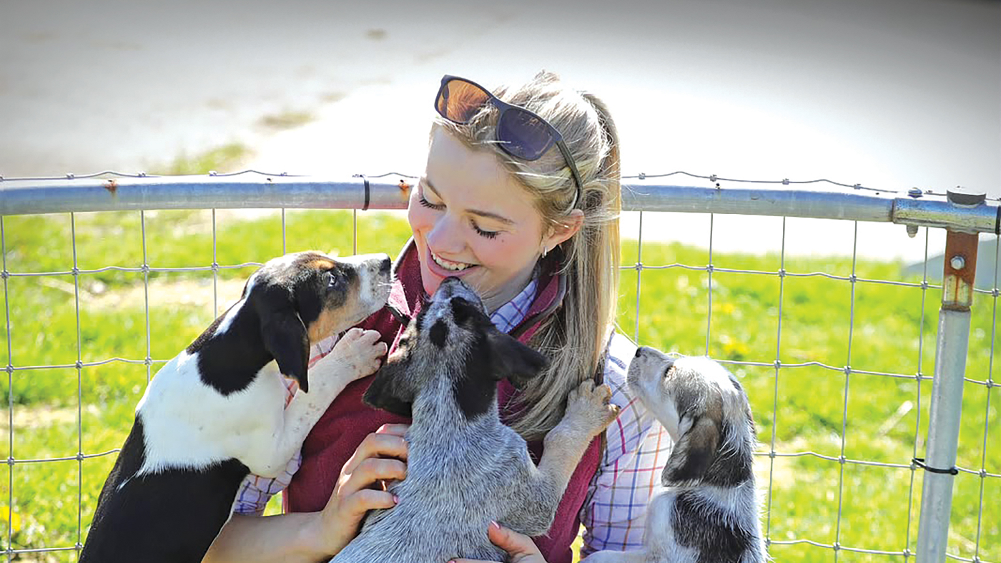 Hunt groom Beth Wright surrounded by hound puppies