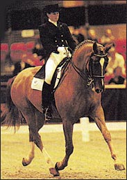 hoysdressage.jpg