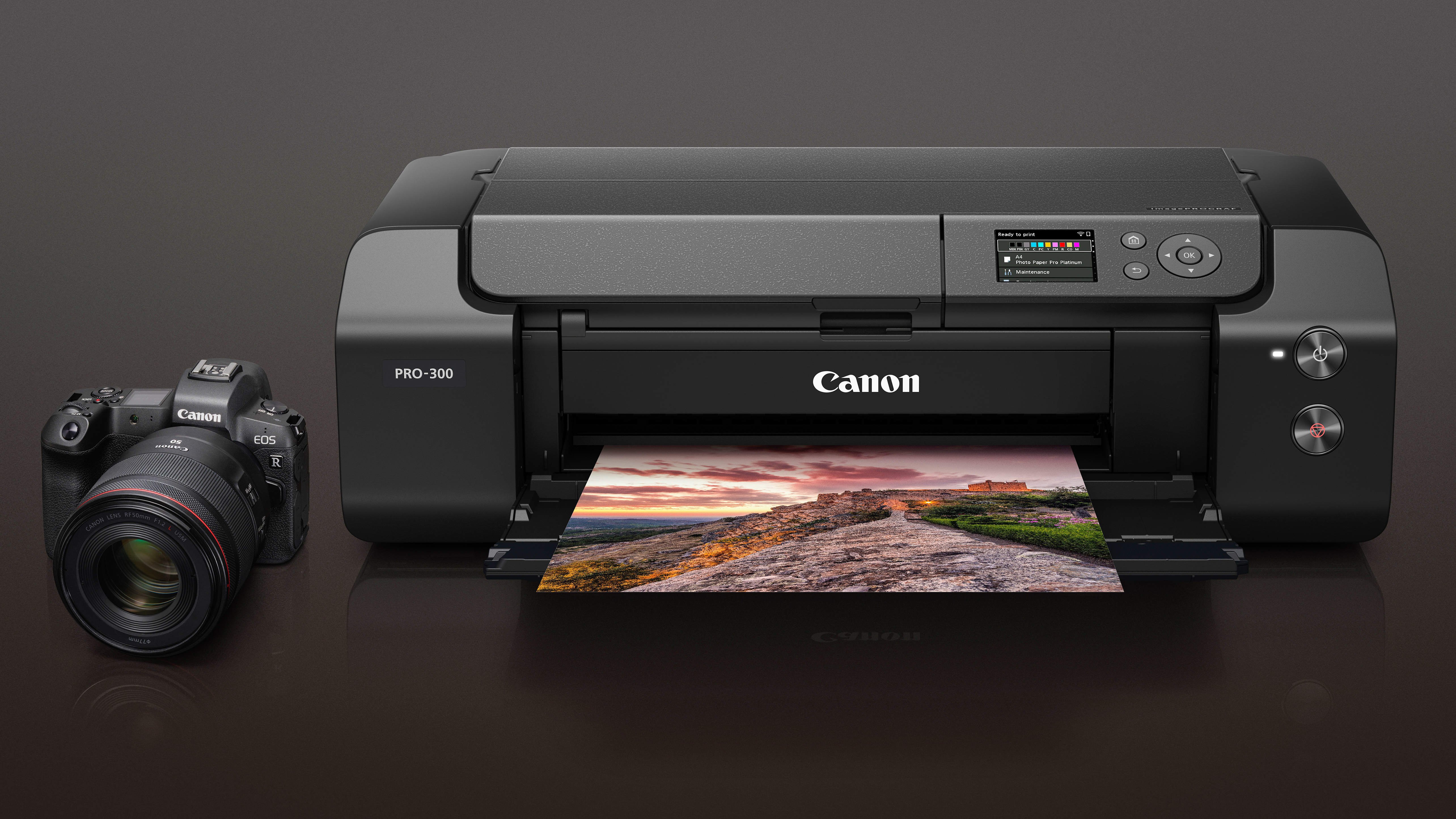 cheapest ink for canon pixma ip8720