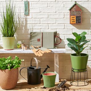Wilko indoor and outdoor planters