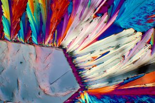 Alcohol Under the Microscope