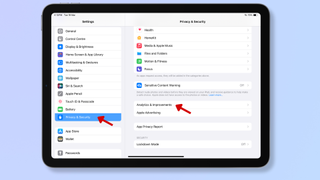 Screenshot of an iPad's Settings, with red arrows pointing at Privacy & Security and Analytics & Improvements. 