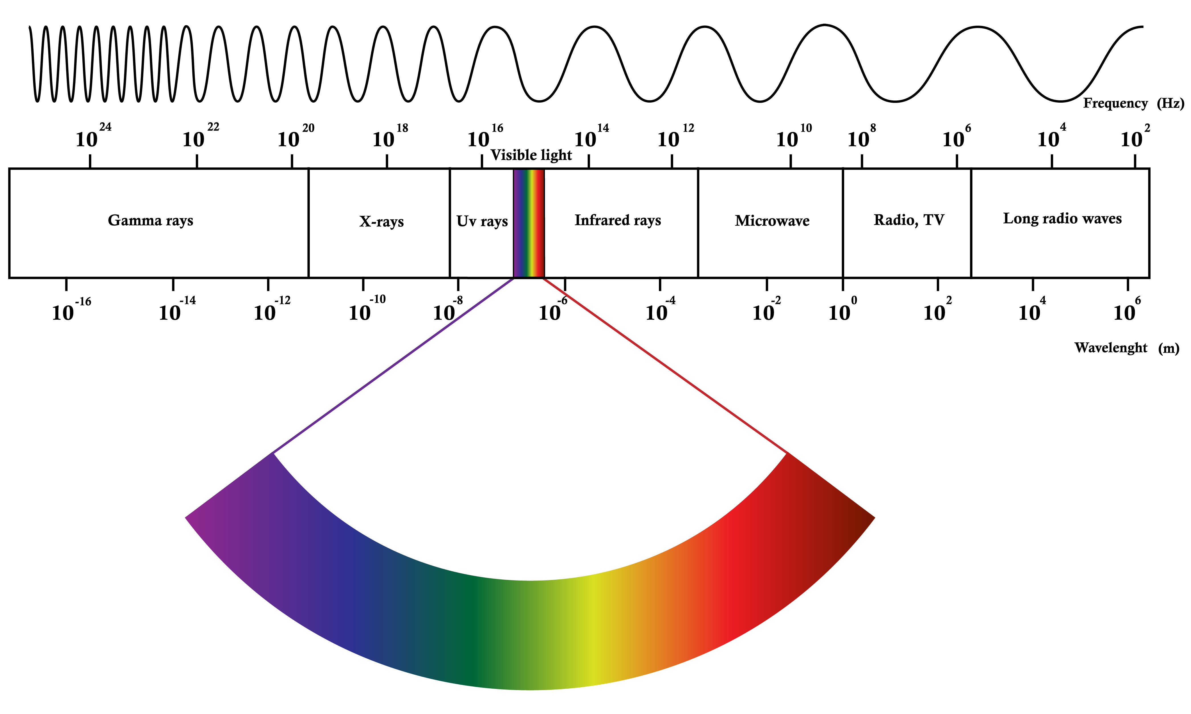 The electromagnetic spectrum is generally divided into seven regions, in order of decreasing wavelength and increasing energy and frequency: radio waves, microwaves, infrared, visible light, ultraviolet, X-rays and gamma rays.