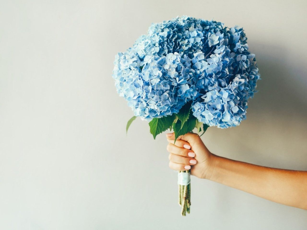 Blue Hydrangea Bouquet