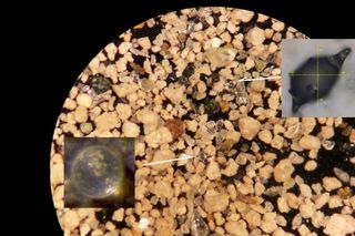 Microtektites, as first seen in a sediment sample from the onset of the Paleocene-Eocene Thermal Maximum. 